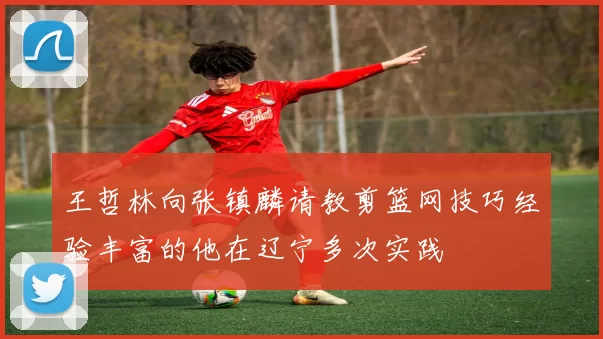 王哲林向张镇麟请教剪篮网技巧经验丰富的他在辽宁多次实践