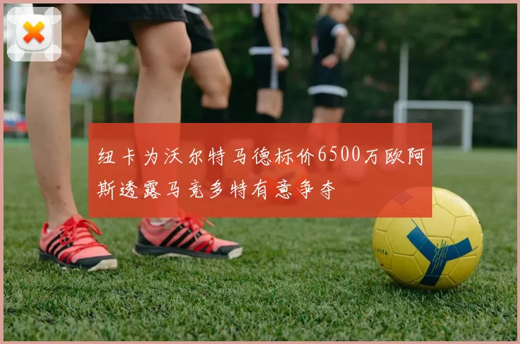 纽卡为沃尔特马德标价6500万欧阿斯透露马竞多特有意争夺